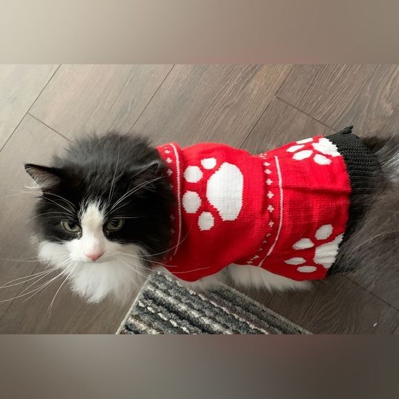 N/A Other - PET Cute Costume Clothes Sweater Vest Christmas Santa Cat Dog Like NEW Red White